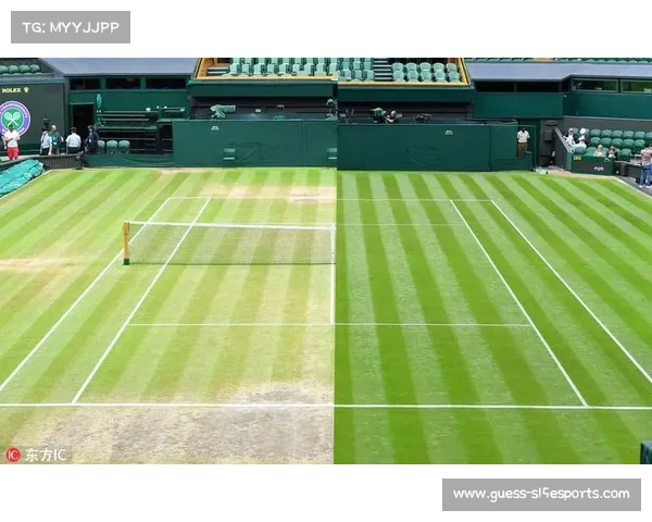 温网6月底开赛，草地赛季传统与革新并存